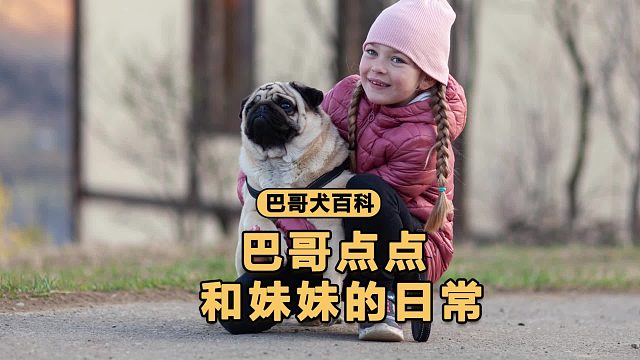 这是全网最会带娃的巴哥，是专业“狗保姆”！