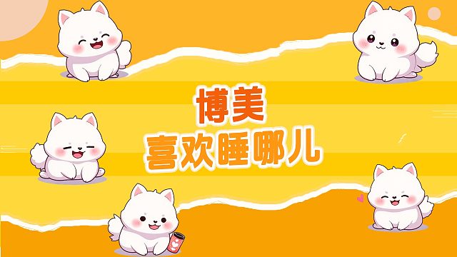 博美喜欢睡哪儿？这几个地方最常见！