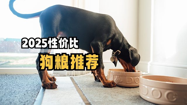 2025性价比狗粮推荐，想囤粮的看过来！