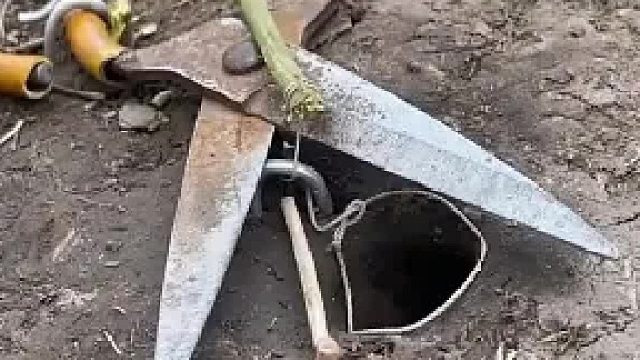 男子设置机关抓蛇，不料千算万算 少算了一步