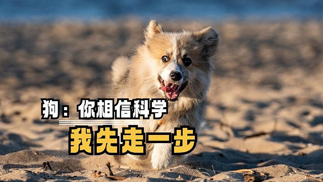 狗子转身就跑，就问你慌不慌