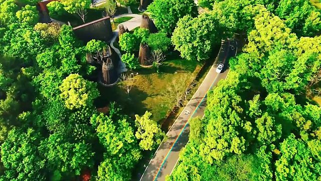 在溧阳1号公路中骑行，这也太美了！