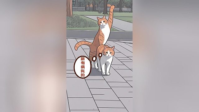 那个会发疯的朋友