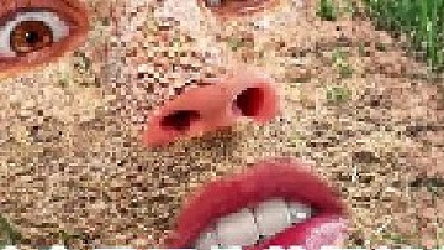 地表最强伪装捉迷藏，能否躲过佛伯乐的抓捕