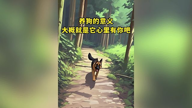 养狗的意义，大概就是它心里有你吧！