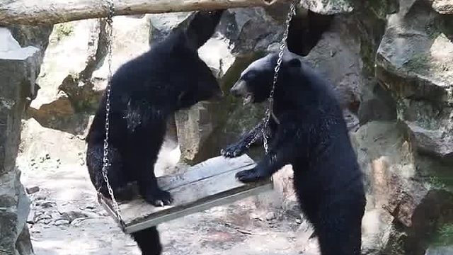 这门票花得值。