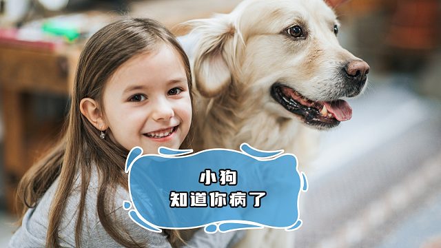 小狗通过气味，识别出人生病的气息
