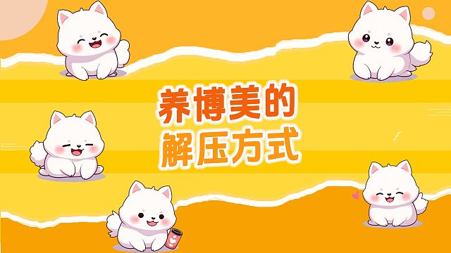 养博美后，解锁这些神奇解压方式！