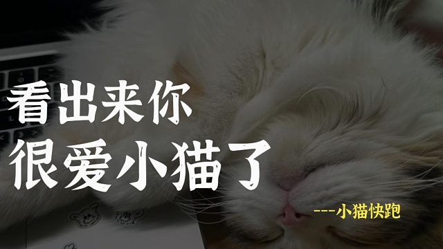 别管了，她真的太爱了