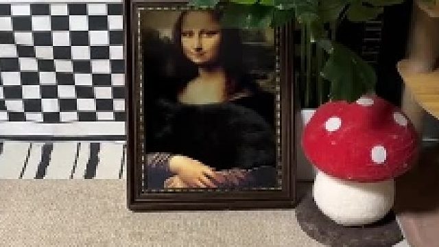 找了一整天，原来它在这