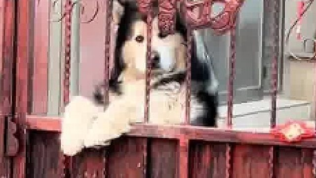 下班路上的固定NPC