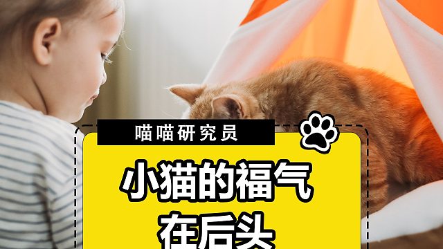 原来中医不仅可以医人，也可以医治小动物