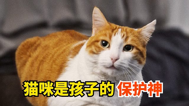猫咪是孩子的保护神？这谁能信