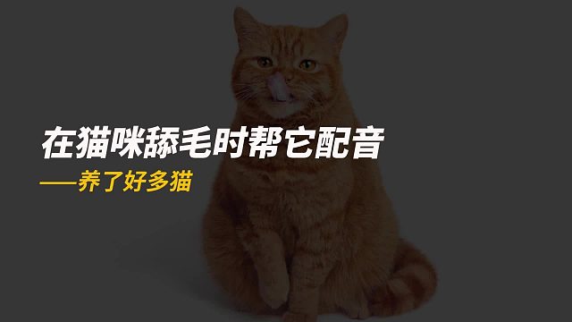 在猫咪舔毛时给它配音，满眼写着不可置信