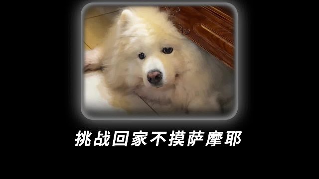 果然，连耶耶都受不了冷暴力