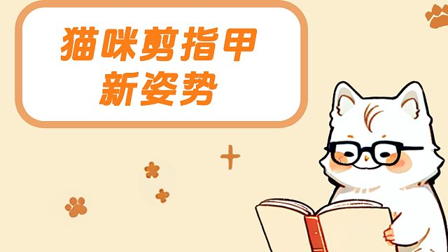 据说猫咪是天生的猎手，警惕性非常强！