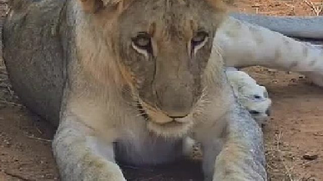 就像很像好不容易建模做完 突然停电了 没保存到重新做