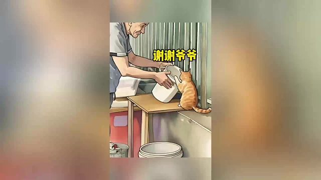 善良都爷爷，可爱的猫咪，画面太温馨了