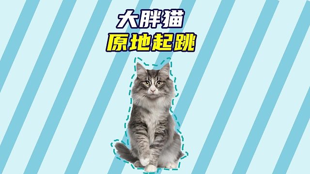 大胖猫原地起跳，自重大于自尊了