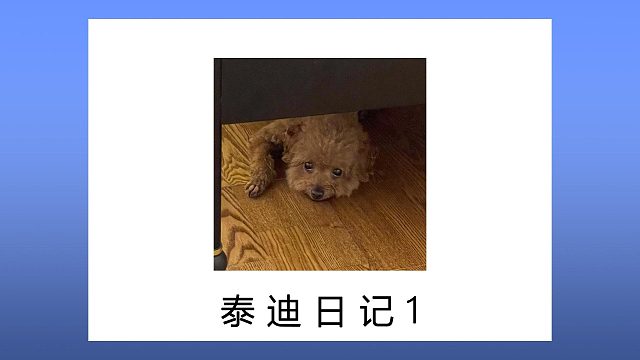 突然躲床底=闹脾气？90%人不知道我想干嘛