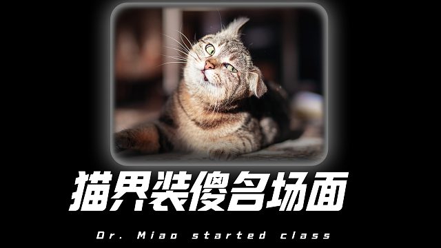 猫咪洗澡前的卑微："妈，这床可真床呀！"