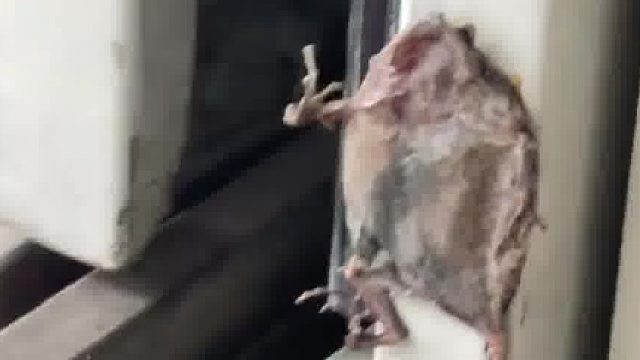 什么机缘巧合的产物？