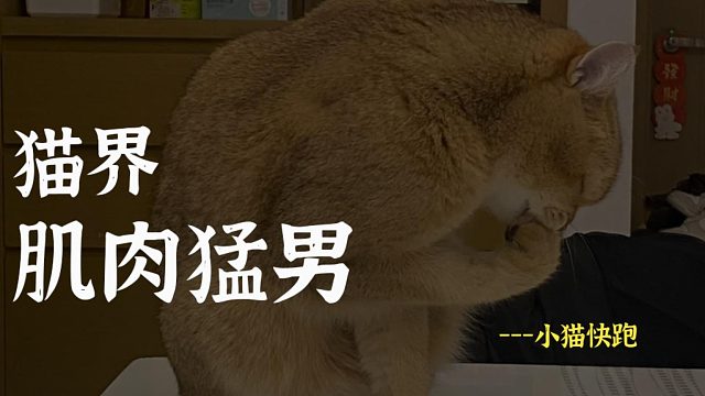 好家伙，这得偷喝了多少蛋白粉啊