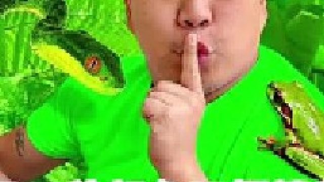 6个人用一种颜色玩伪装捉迷藏，谁能躲藏到最后