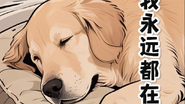 女生想和金毛握手道别