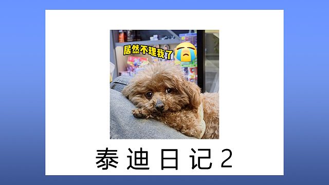 论如何用狗屁屁，夺回被手机抢走的母爱