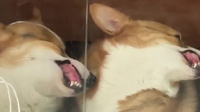 它娘俩一看就没有烦心事