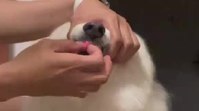 我就不吃药略略略