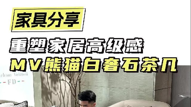 重塑家居高级感 MV熊猫白奢石茶几