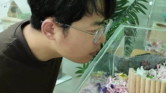 当你养了一只仓鼠……