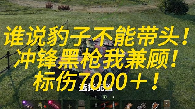 谁说豹子不能带头冲锋！放开！让我来！