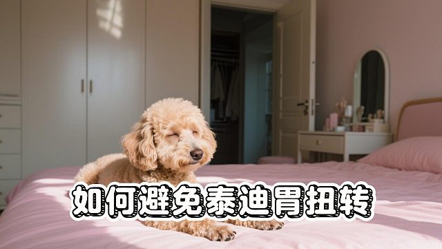 如何避免泰迪胃扭转的发生，你知道吗