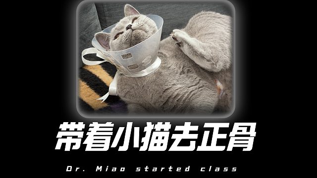 阎王：刚刚撤回一个猫头