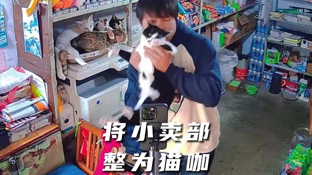 小卖部老板，每天背着一筐猫去上班