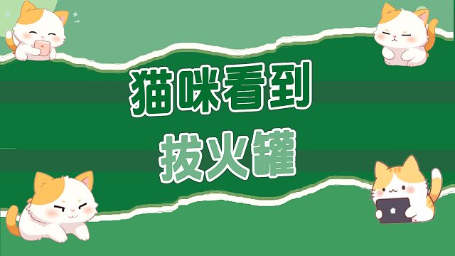 猫咪：别拽我，这好像我小时候的饭！