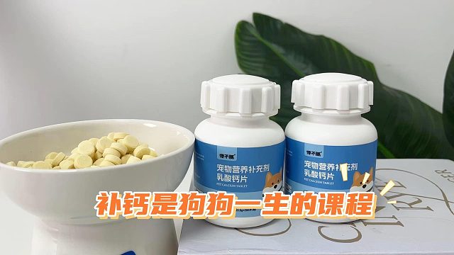补钙是狗狗一生的课程，别忽略了！