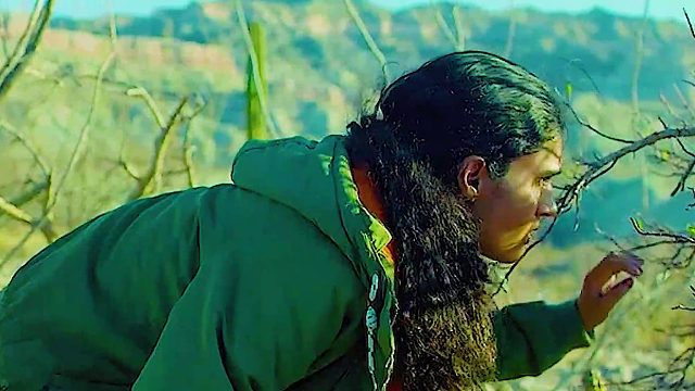 我发布了一个新视频，快来围观吧！