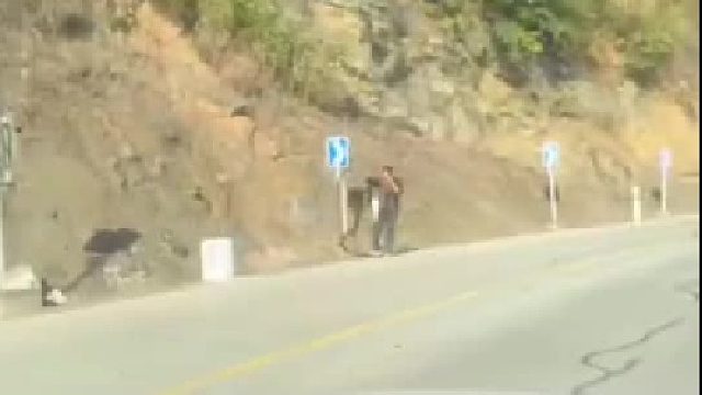 我尼玛 这是真猛啊 这玩意咬一口不得凉半天