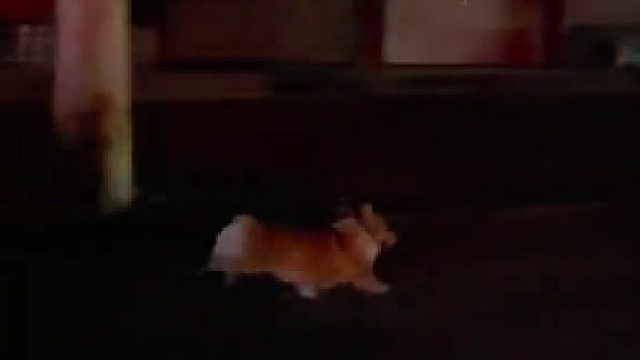 一秒都不用剪！duang！