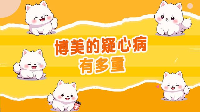 博美的疑心病有多重？眼里全是不信任！