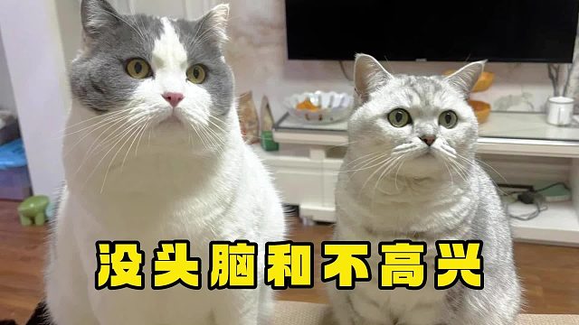 狸花：日子跟谁不是过，换个地方吃饭而已