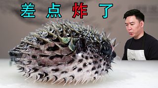 藍(lán)色刺鲀，聽(tīng)說(shuō)我要吃它，差點(diǎn)把自己氣爆了