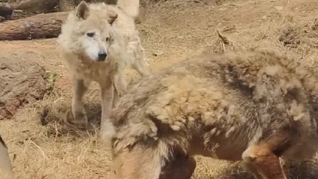 今天 40 门票就花在这了