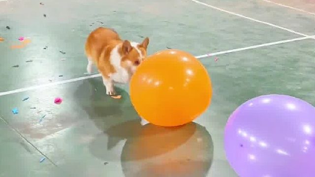 一口一个嘎嘣脆