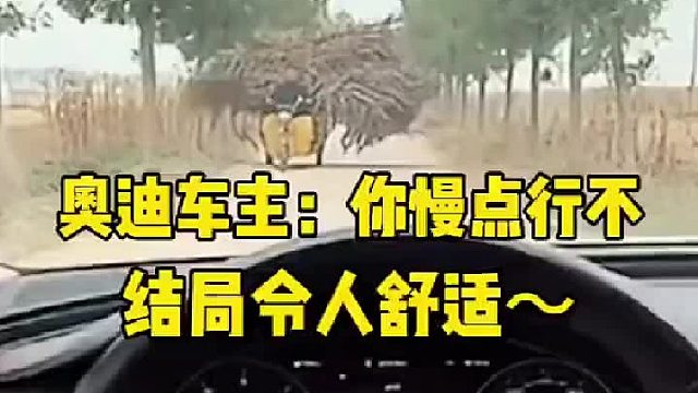 奥迪遇到最厉害的拦路虎