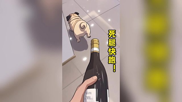 巴哥：死腿快跑！